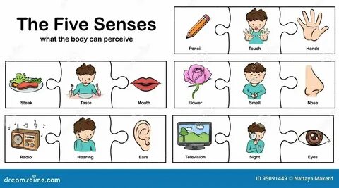 We see our eyes