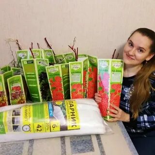 Семена алтая искореняющая обработка