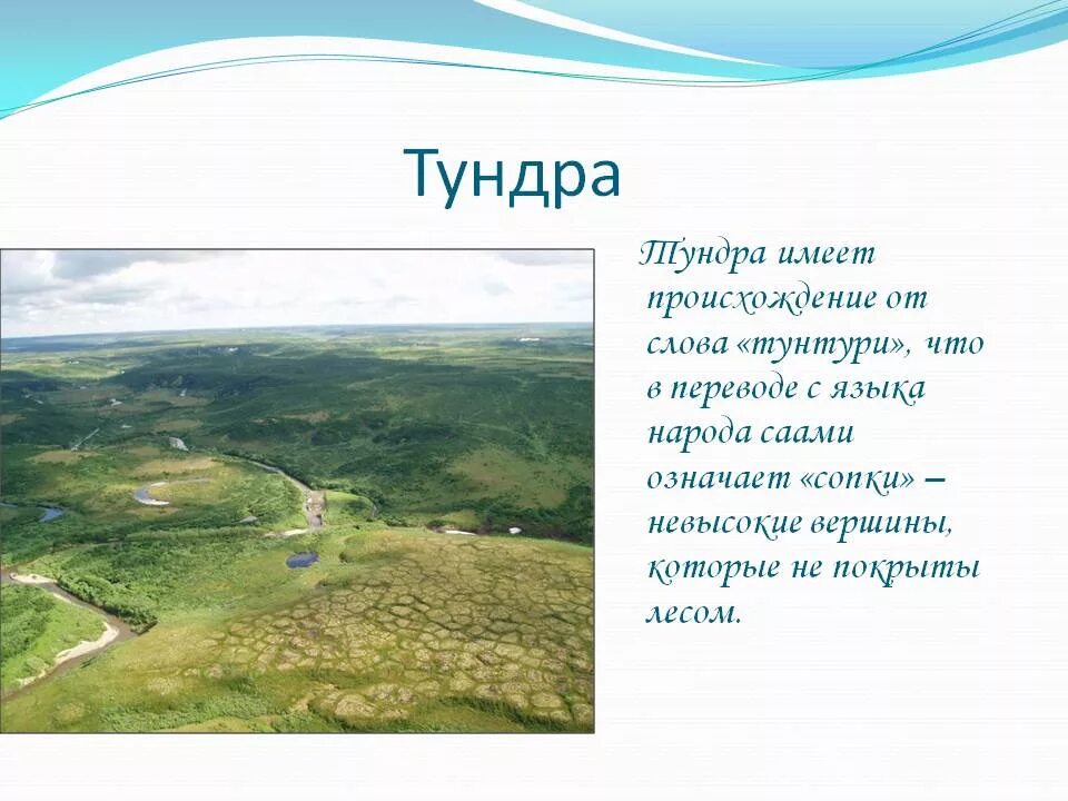 Слово тундра. Значение слова тундра. Тундра текст. Тундра происхождение слова. Тундра песня слова