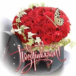 Красивые розы с поздравлением днем рождения