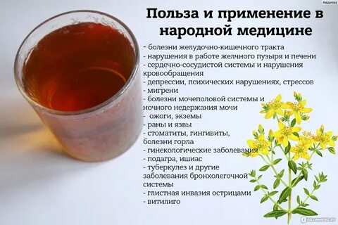 Зверобой противопоказания для женщин