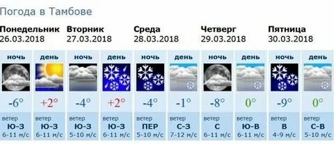 Погода в тамбове на октябрь 2024г