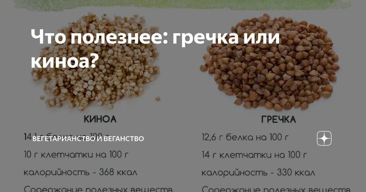 Киноа БЖУ гречка. На сколько полезна гречка. Гречка с киноа. Что полезнее гречка или киноа. Гречка это белок