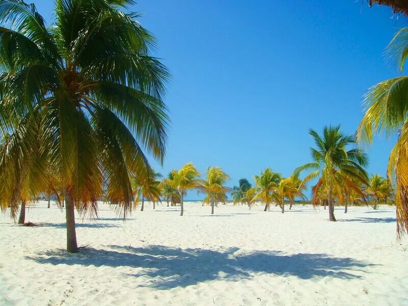 Варадеро кайо ларго. Кайо ларго куба. Варадеро кайо ларго. Кайо ларго куба. Гавана кайо ларго.