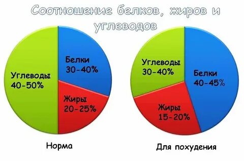 Сколько процентов жиров должно быть в рационе