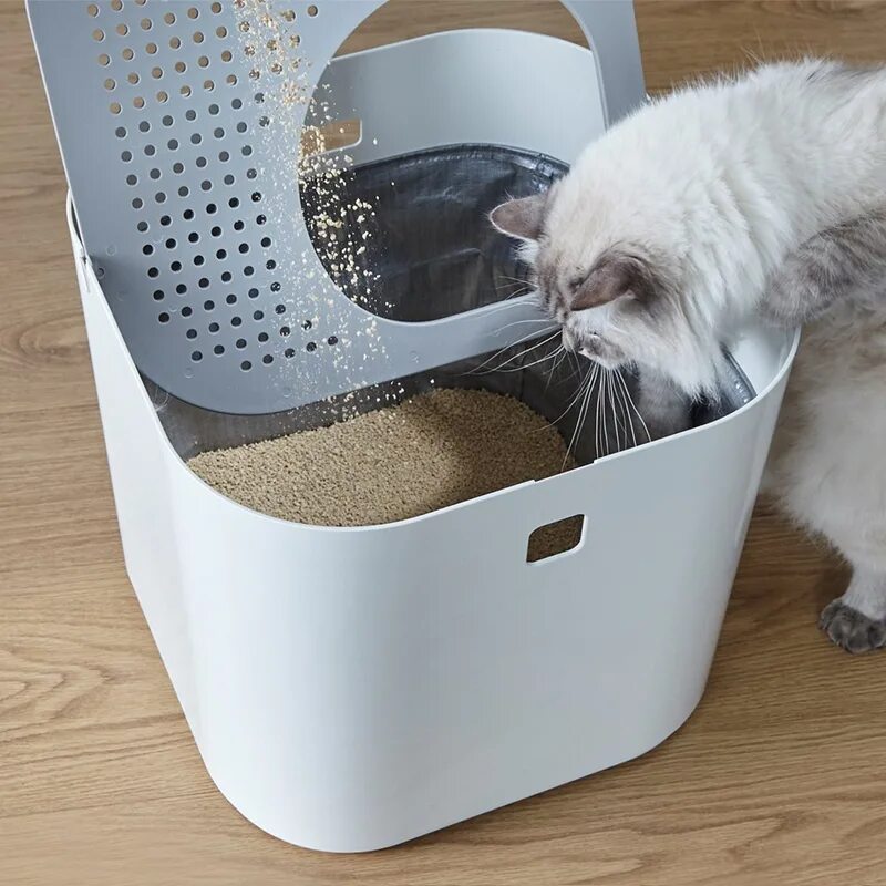 Modkat туалеты для кошек. Туалет для кошек Cat Litter. Modkat Litter Box. Кошачий унитаз Cat Litter Box.. Какой лоток лучше для кошки