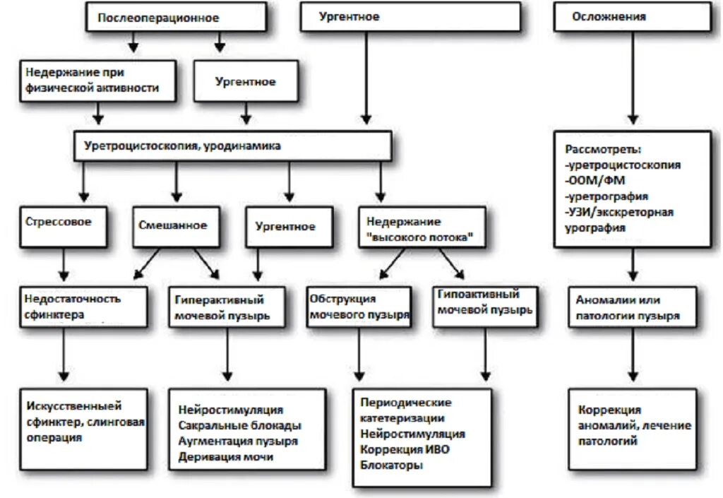 Недержание мочи у мужчин после 70 лечение. Обследование при энурезе. Ургентное недержание. Обследование при недержании мочи у женщин. Патогенез недержания мочи.