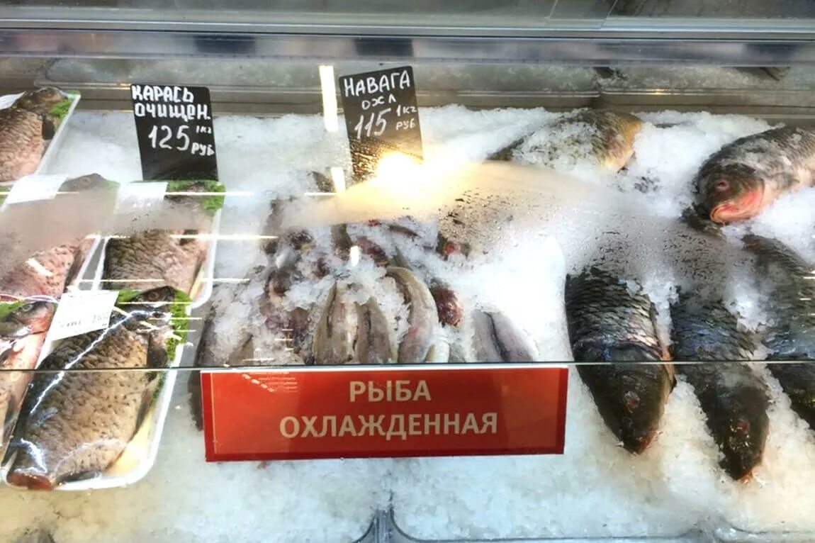Охлажденная рыба в магазине. Мороженная рыба в магазине. Ассортимент охлажденной рыбы. Рыба на прилавке.