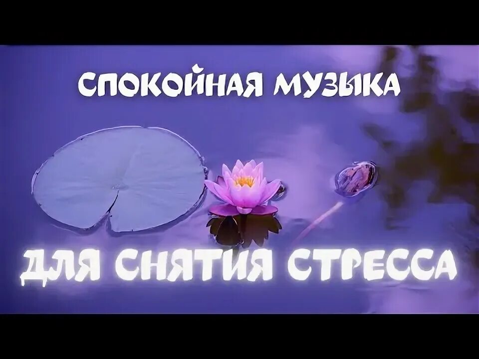 Спокойная музыка для снятия стресса. Спокойная музыка для медитации и снятия стресса. Расслабляющая музыка для снятия стресса. Музыка для снятия стресса релакс.