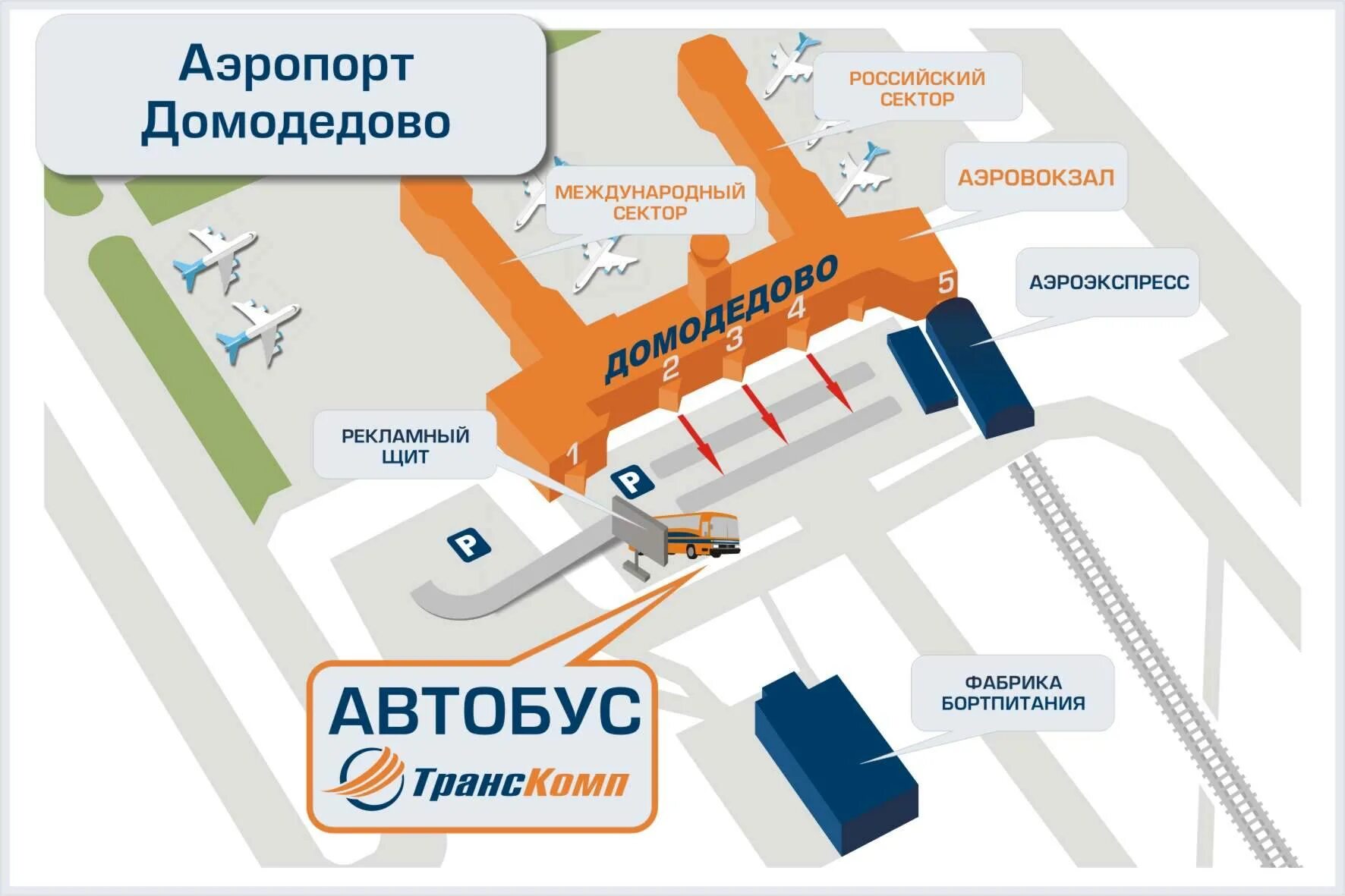 Аэроэкспресс какой терминал. План Домодедово аэропорт схема. Аэропорт Домодедово на карте. Схема аэропорта Домодедово автобус. План аэропорта Шереметьево.