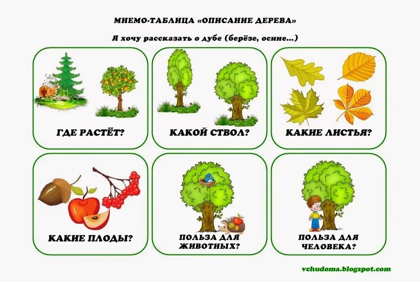 Кроме фруктовых деревьев составить предложение. Деревья занятия для дошкольников. Деревья для детей дошкольного возраста. Схема описания дерева. Мнемотаблица деревья и кустарники.