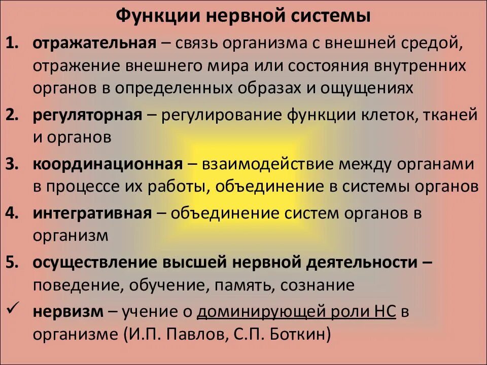 Общая морфофункциональная характеристика нервной системы. Основные функции нервной системы. Нервная система важные функции. Функции нервной системы кратко.