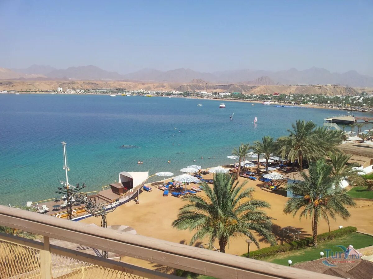 Бич альбатрос шарм 4. Отель бич альбатрос шарм-эль-шейх. Альбатрос бич резорт 4 шарм-эль-шейх. Альбатрос шарм резорт 4 шарм-эль-шейх. Бич альбатрос шарм 4.