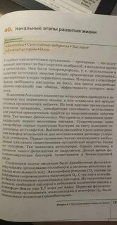 Парагрофа