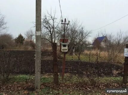 Погода в белозерном краснодарского