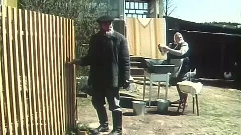 Дзен во бору брусника слишком первая любовь