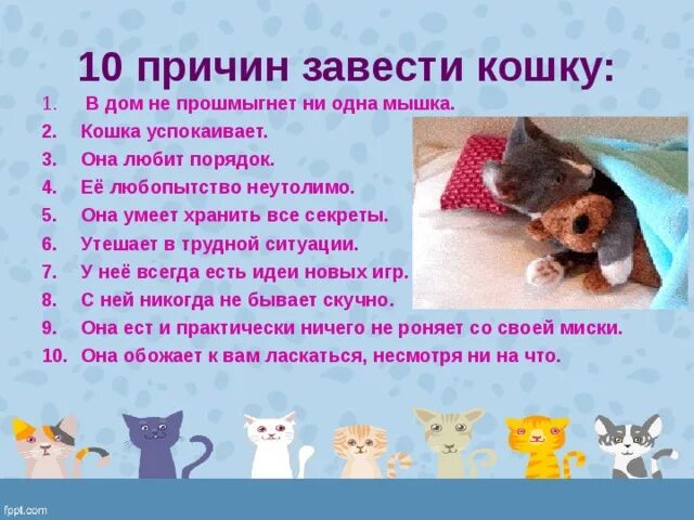 Как облегчить жизнь кошке