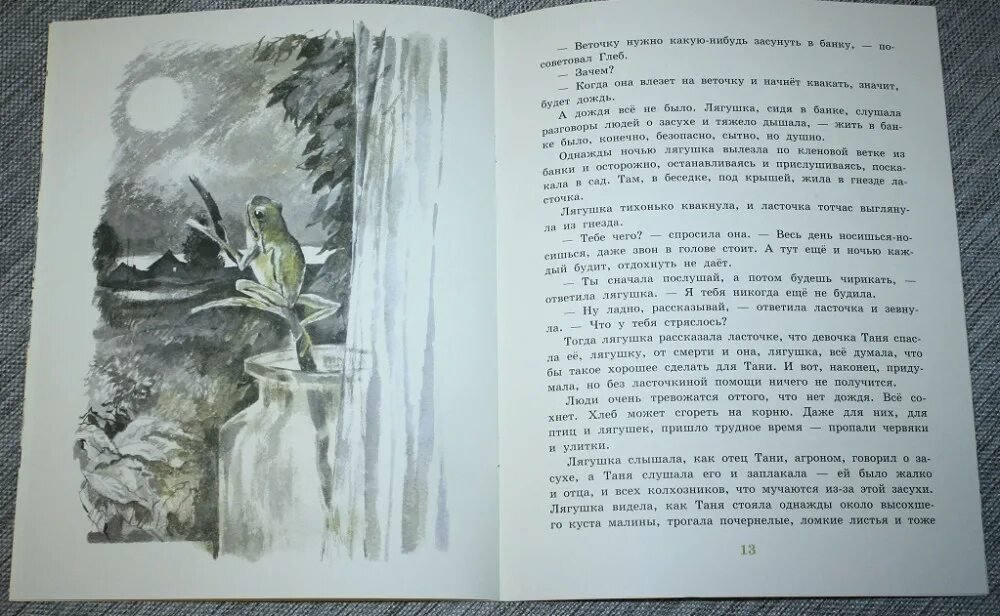 Квакша рассказ Паустовского. Паустовский книг для детей квакша книга. Паустовский квакша иллюстрации.