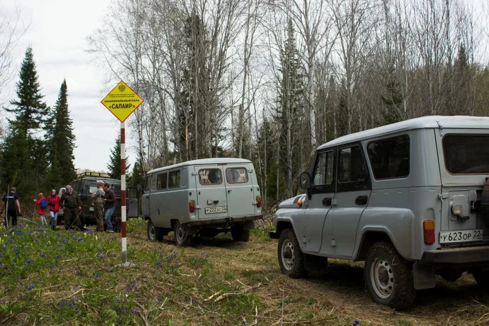 Погода в салаире на неделю. Национальный парк Салаир в Алтайском крае. Салаир Тогул национальный парк. Национальный парк Салаир карта. Салаир национальный парк расположение.