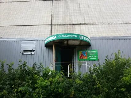 Поливет