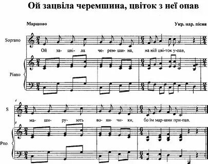 Черемшина украинская народная