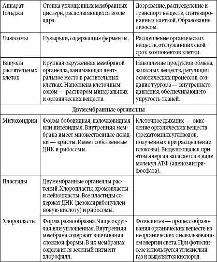 Строение клетки название строение функции таблица. Строение и функции органоидов эукариотической клетки таблица. структуры и органоиды клетки таблица. органоиды эукариотической клетки таблица 10. строение органоидов эукариотической клетки таблица.