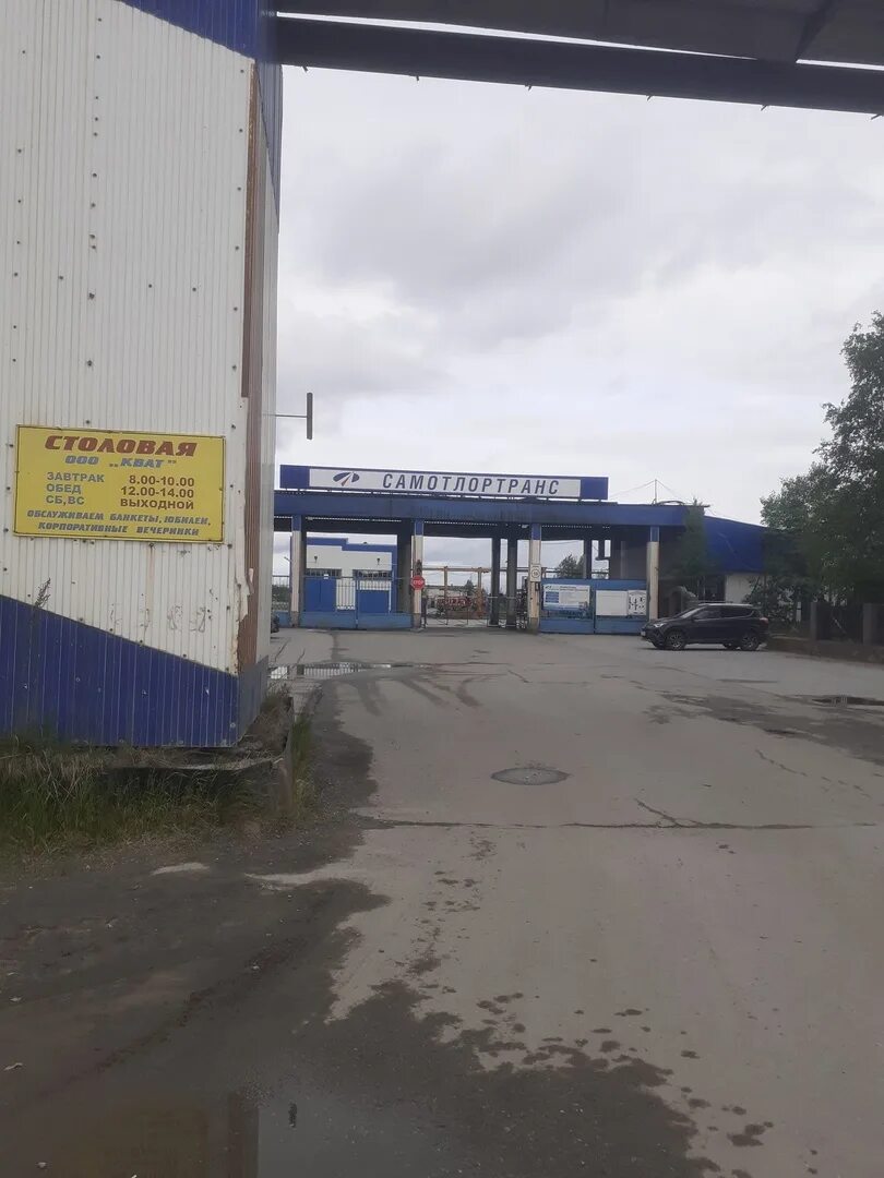 Самотлордорстрой нижневартовск директор. Самотлордорстрой нижневартовск директор. Самотлортранс нижневартовск. Самотлортранс нижневартовск. Вахта i инфо.