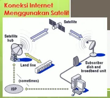 1 линия интернет