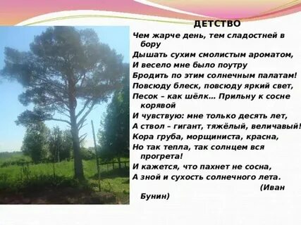 Повсюду блеск повсюду яркий
