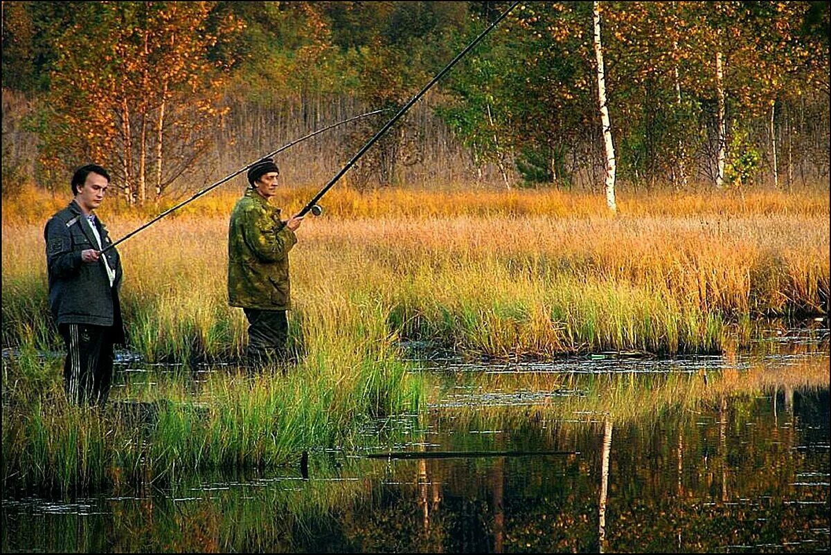 Летним утром мы направляемся на рыбалку природа. Рыбалка. Осень рыбалка. Осенняя рыбалка. Рыбалка осенью.