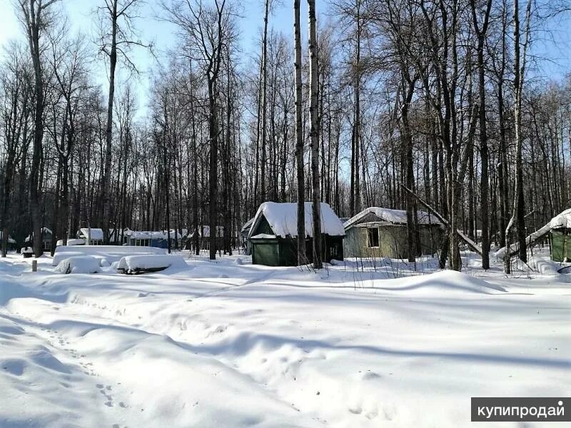 Дачу в боровом матюшино. Боровое матюшино резиденция. лагерь волга боровое матюшино. боровое матюшино казань. боровое матюшино лес.