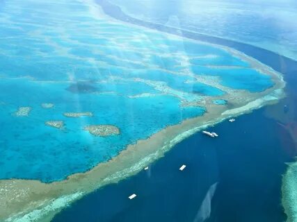 Самое крупное море австралии