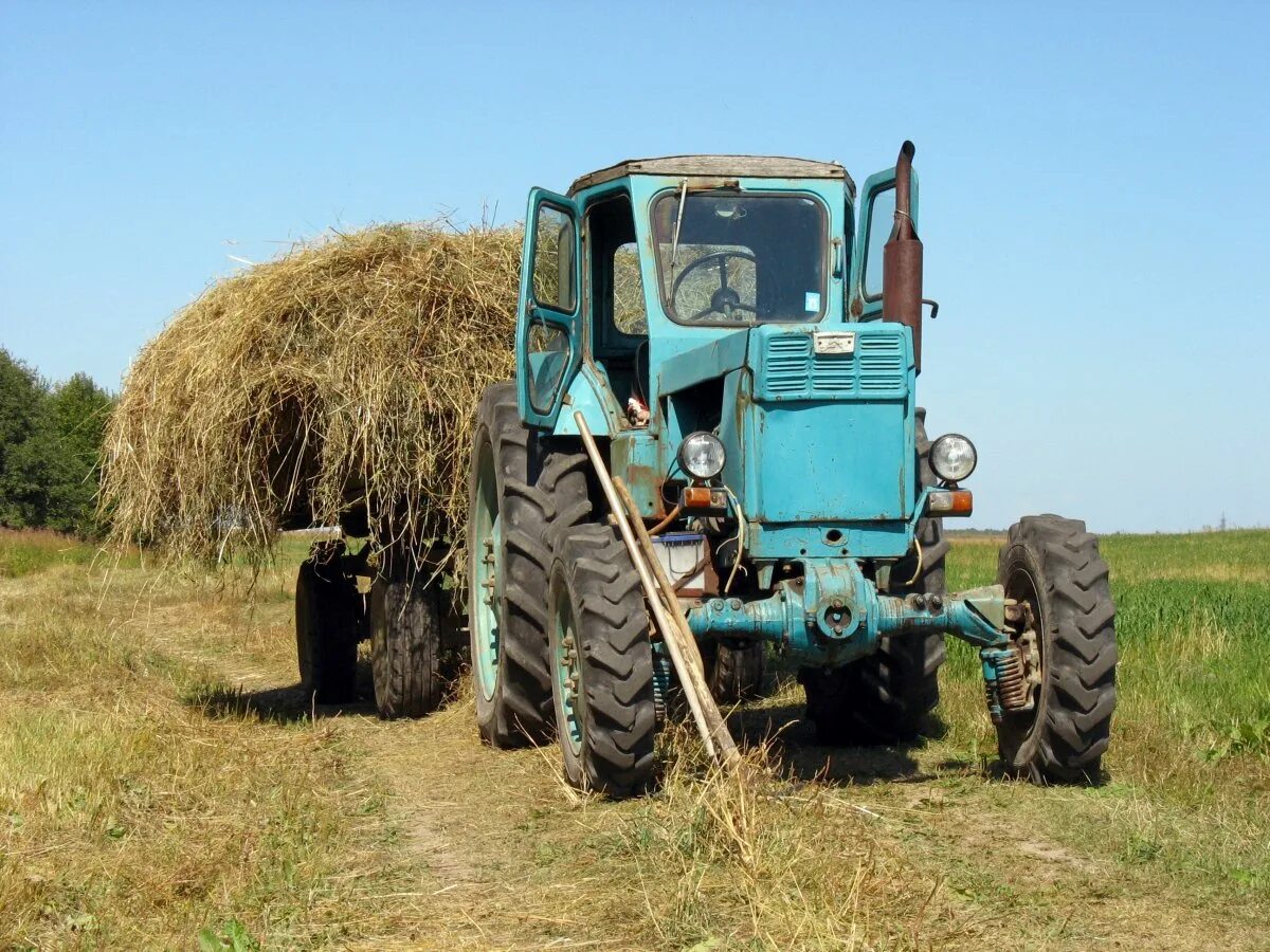 Сено волгоградская область. Трактор МТЗ ЛТЗ Т 100. Трактор ЛТЗ 40 ам. Трактор т 40 сенокос. Трактор ЛТЗ 40 зеленый.