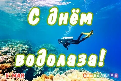 День водолаза