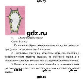 Биология 10 класс краткое содержание параграфов