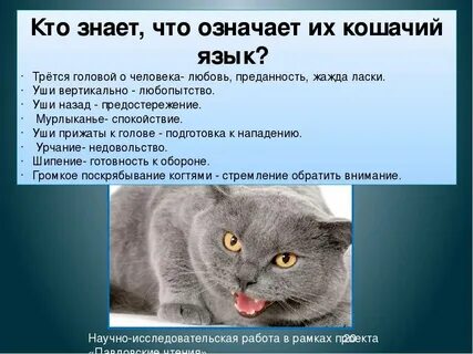 Тобишь что это значит