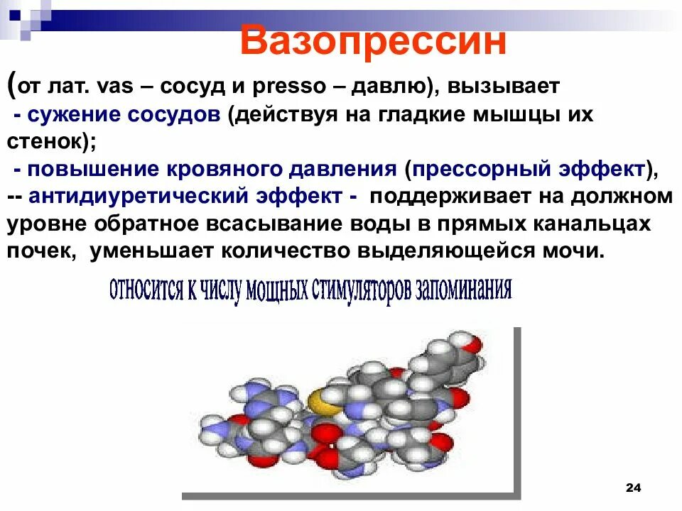 Вазопрессин это. Вазопрессин это. Вазопрессин гормон. Вазопрессин. Вазопрессин это.