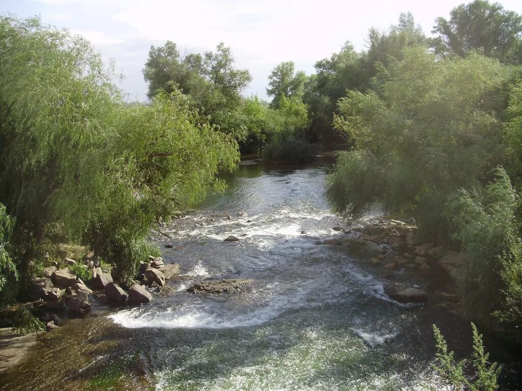 Река кумак оренбургская область. Река кумачка оренбургская область. Кумак орск река. Лужки оренбургская область. Лужки орск.