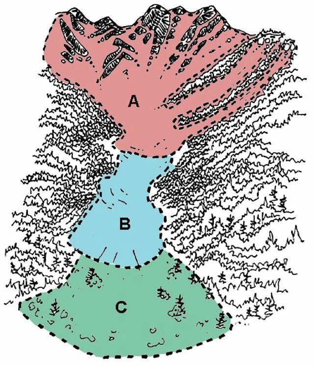 Зоны лавины. Схема снежных лавин. Периоды схода лавин. Причины возникновения лавины. Условия формирования снежной лавины.