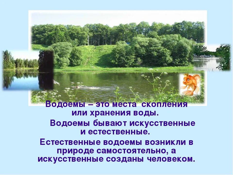 Краткое описание водоема