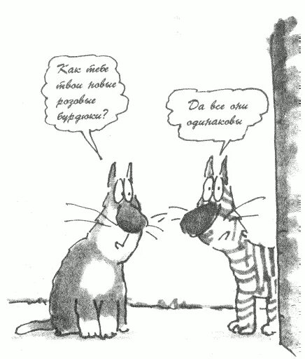 Кот без прикрас терри пратчетт. Умный кот. Терри пратчетт книга про котов. Читать кот без. Читать кот без.