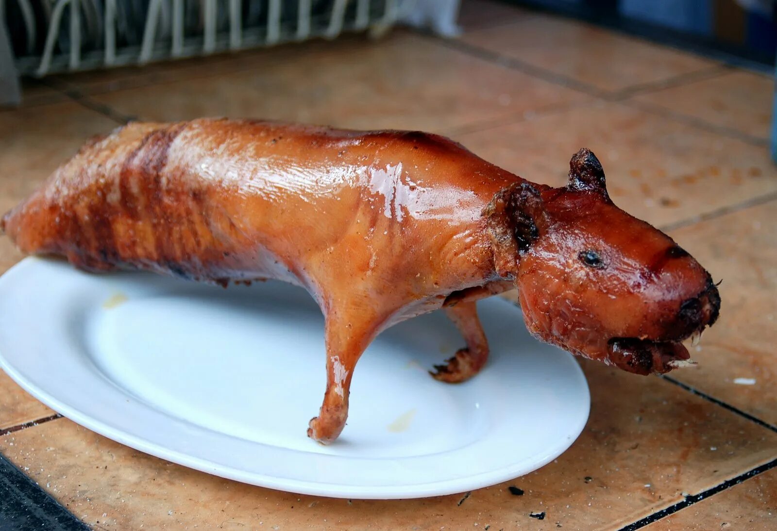 жареный белок