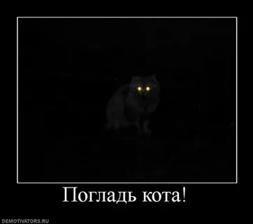 Гладила кота на дороге и не заметила