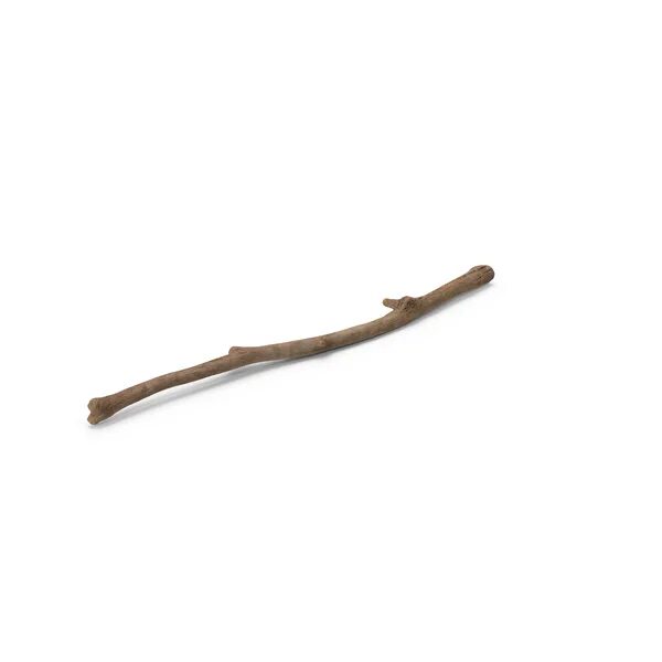 Small stick. Branch stick. вертикальная палка png без краёв. aspiring twig.