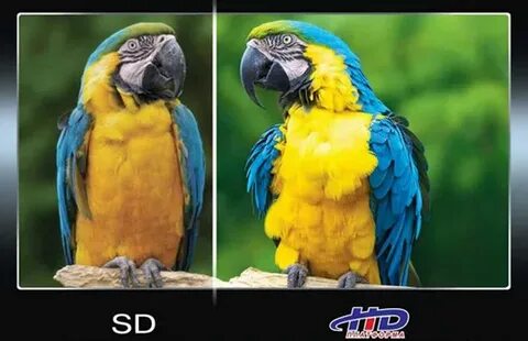 Sd качество