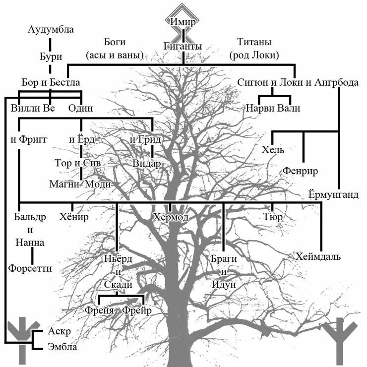 Соответствие дерева человек