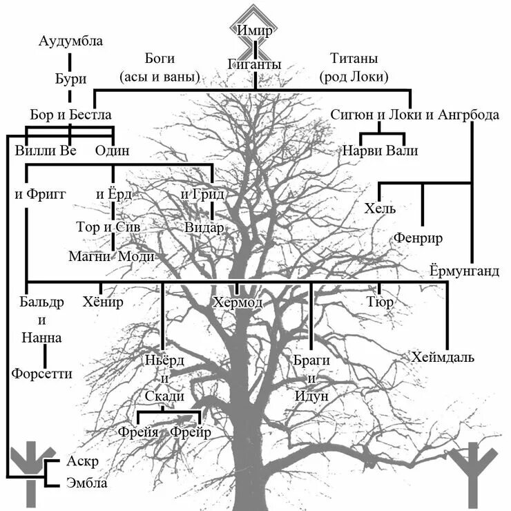 Соответствие дерева человек. Скандинавская мифология Древо богов. Германо-Скандинавская мифология боги Древо. Пантеон скандинавских богов схема. Скандинавские боги таблица.