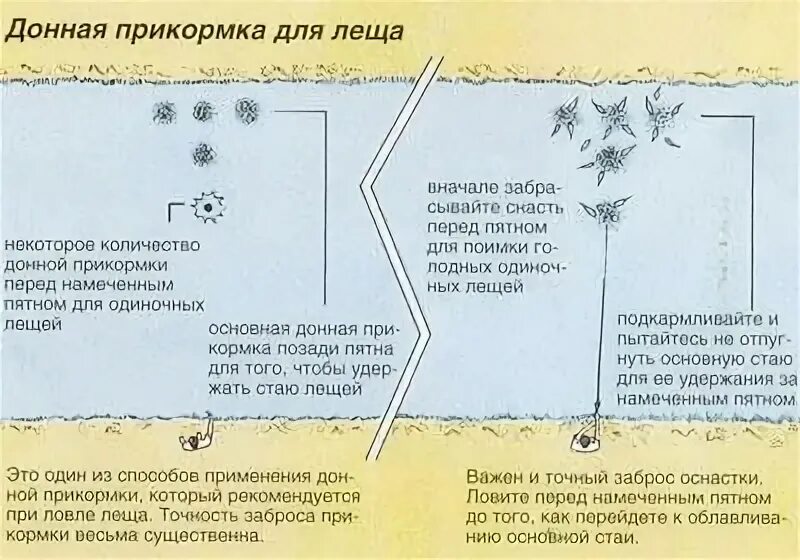 Какая прикормка на леща. Прикормка на леща. Приманка на леща летом на течении. Прикормка на леща зимой своими руками. Прикормка для рыбалки на леща.