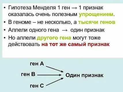 Масса 1 гена