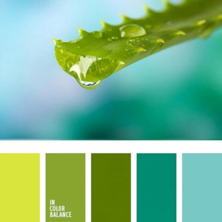 Сочетание цветов с зеленым. Seeds color palette изумрудный. Цветовая гамма зеленый. Цветовая гамма зеленый. Цветовая палитра зелень.